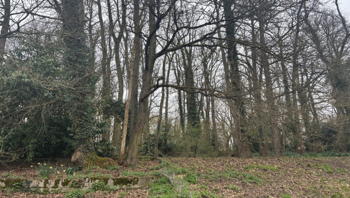 1773834562_VT121_2_original